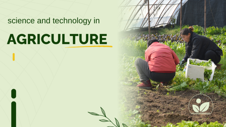 agriculture