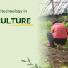 agriculture