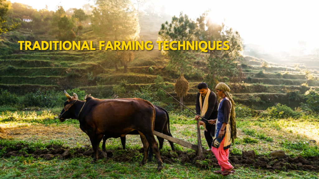 agriculture